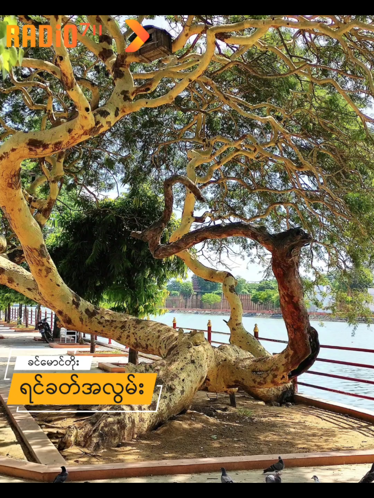 ခင်မောင်တိုး/ရင်ခတ်အလွမ်း #myanmarmusiclyrics #Story #feeling 