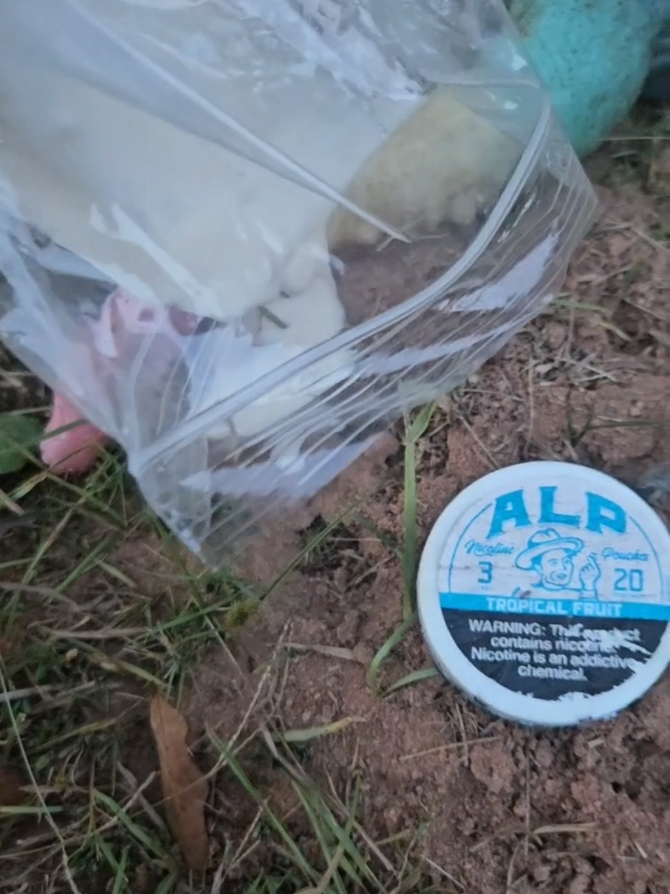 This HAS to bulk up the ants #ants #bulk #propane #horse #Science 