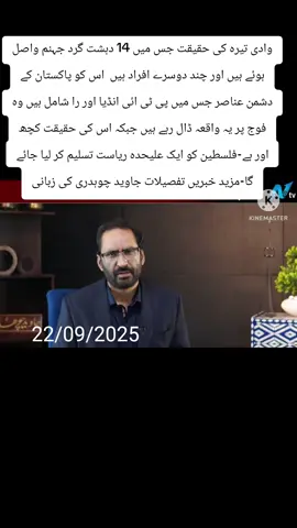 #shehbazsharif #maryamnawaz #foryoupage #pmlntiktok #fyp 