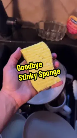 #wiredishcloths #kitchen #sponge #hack 