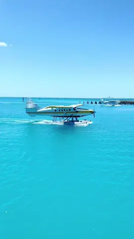 What and amazing memory and an incredible view #florida #keys #amazing #views #fyp 