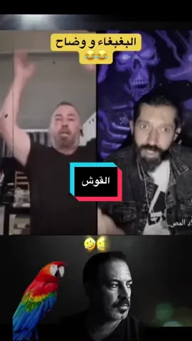 😂#وضاح_الغريب #العراق🇮🇶 @وضاح الغريب chef waddah 