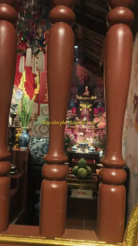 Người đang làm Thánh đang nhìn 🍀🙏🌸 con tấu lạy Thánh Cô Anh Linh ạ 🙏🙏🙏#tinnguongthomau #TâmLinhTínNgưỡngViệtNam #candongsolinh #phuclinhung #ĐạoMẫuViệtNam 