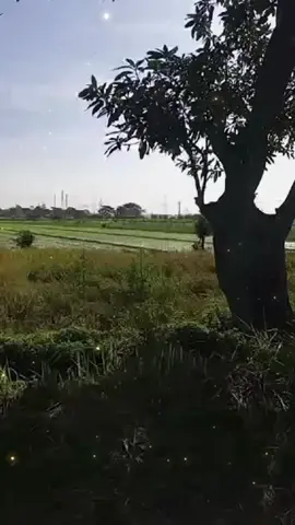 Assalamualaikum buat sahabatku semua met pagi met beraktivitas semoga kita selalu ada di jalan yang Allah ridhoi Aamiin🤲#Nurjahan💙 #Alquran #fypviralシviral🖤tiktok @Huyyam 