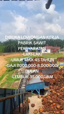 #infoloker #lowongankerja #pabriksawit #update #xcyba #fyppppppppppppppppppppppp 