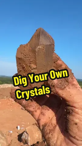 Dig Your Own Crystals at @roncolemanmining in their tailings piles and keep everything you find . Great family activity for rockhounds ! With @Crystal Cowboy and Bill! #creatorsearchinsights The Crystal Hunt: Unearth Nature's Treasures #crystaldigging, #gemhunting, #naturevibes, #rockcollecting, 