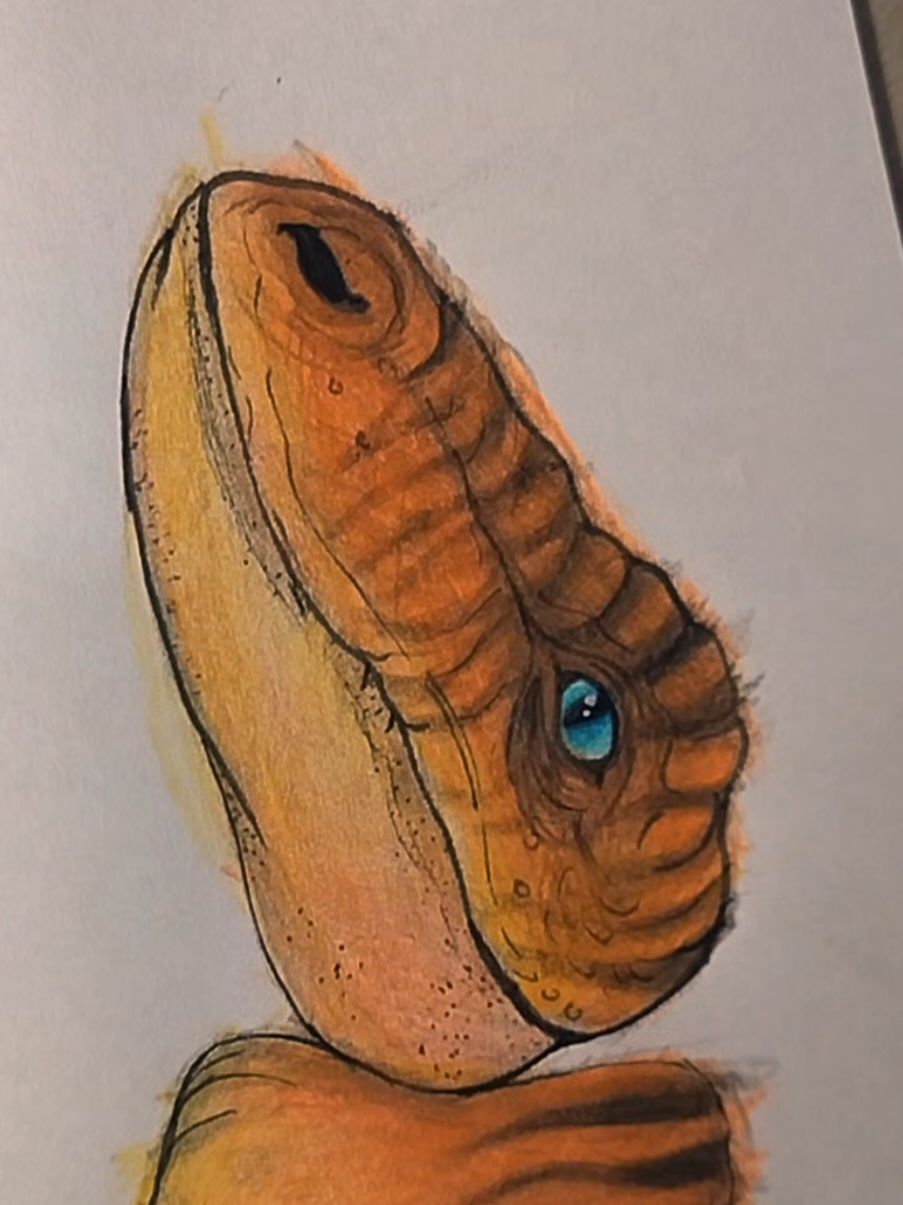 Paper dinosaur velociraptor. Paper craft. dino de presente para uma futura paleontóloga 🪏🦖 #hollypaperdog #papercraft #paper #dino #dinosaur 