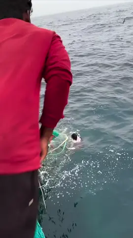 🌊 Very dangerous work ever 😱     #tiktokvideo #foryoupage #fowollme #fyp 