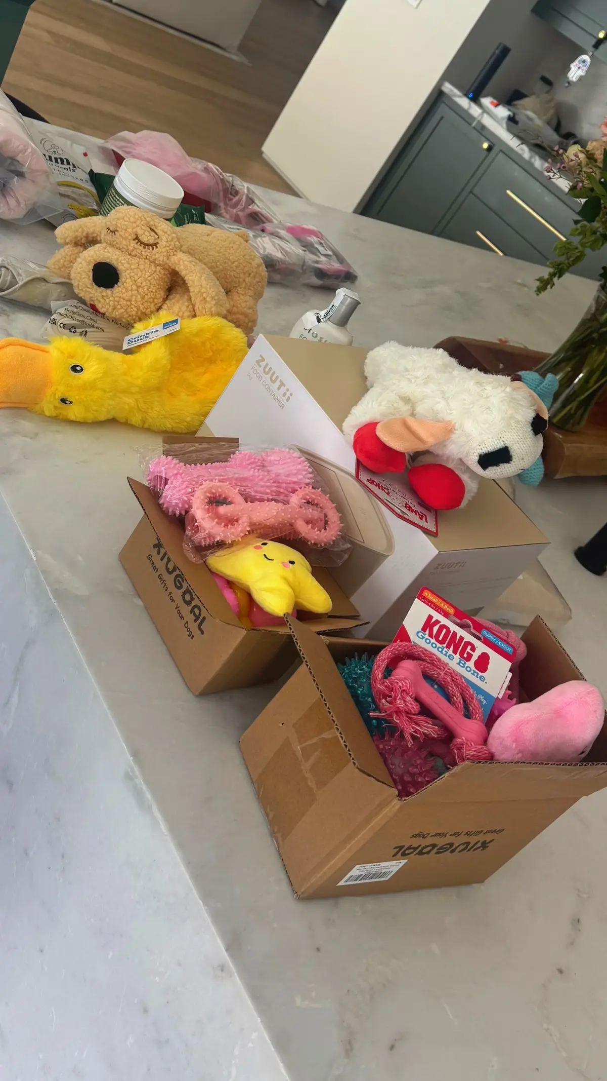 my new  puppy doesnt know how spoiled she is about to be 🐶🥹