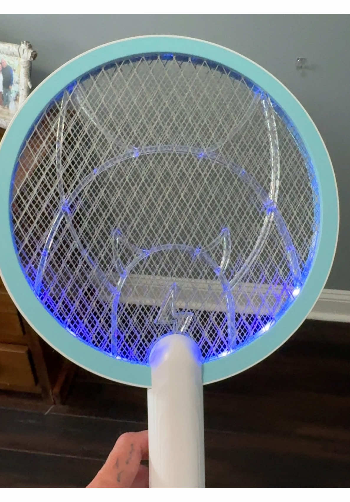 if you don’t have an electric fly swat, what are you even doing with your life? #flies #electric #bughead #musthave #creatorsearchinsights 