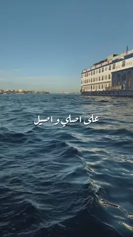 لو كله مال انا مش هميل  #اغنيه_ضي_كامله #ضي #محمد_منير #اسوان