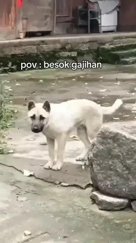 🤣🤣🤣🤣 #fyppppppppppppppppppppppp  #foryoupage 