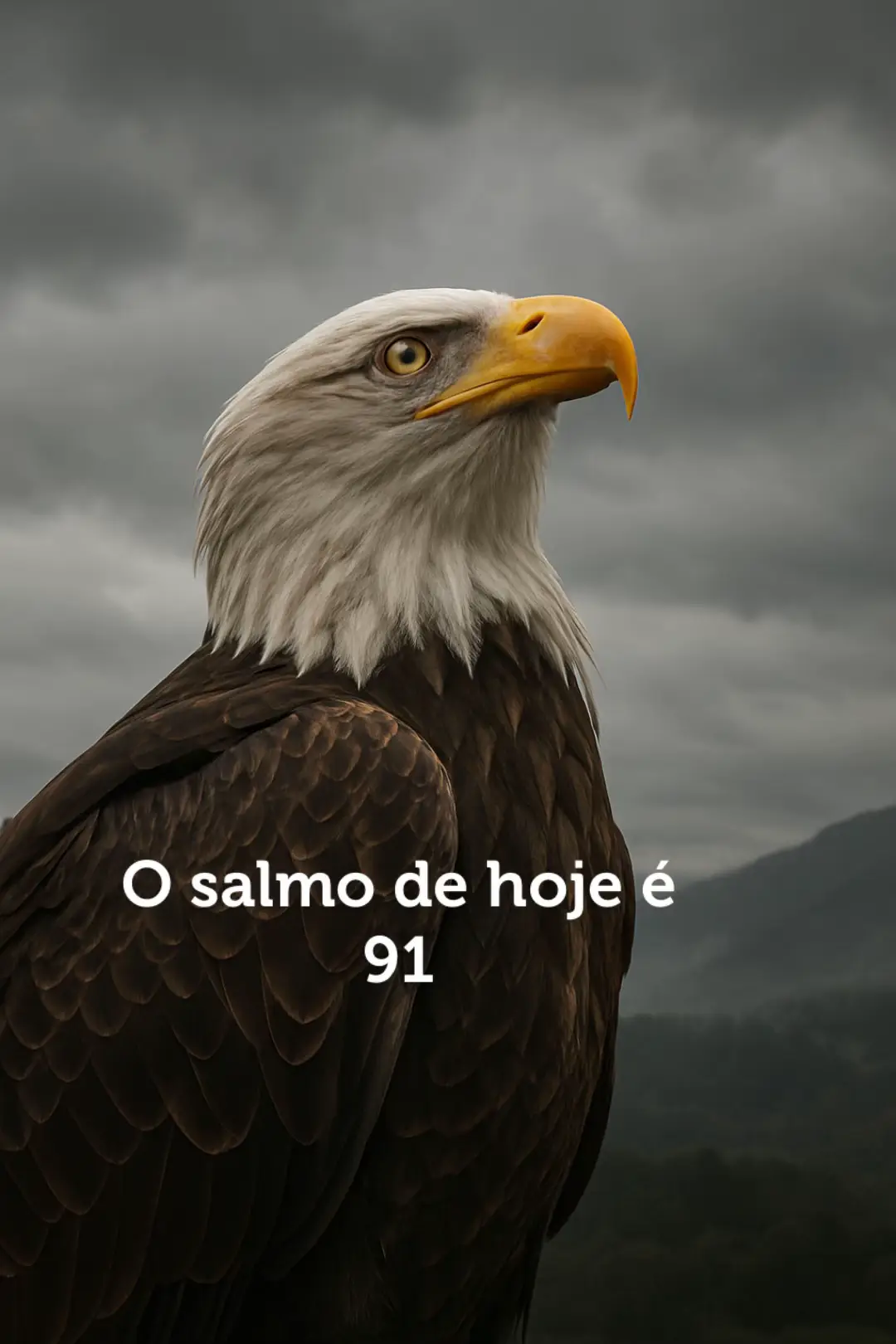 #salmo #salmo91 #jesusvive #deusnocomando