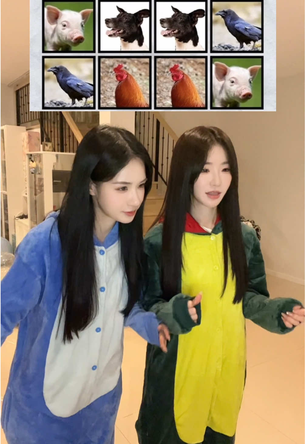 🐷🐶🐔🐦‍⬛@🚀星禾Xinghe✨ #หมูหมากาไก่ #challenge #LIVELegendTH 