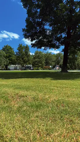 Nothing as fine as a dub9 #truckerslife #owneroperator #leftlanegang #foryou #foryoupage @Big_ Mike 