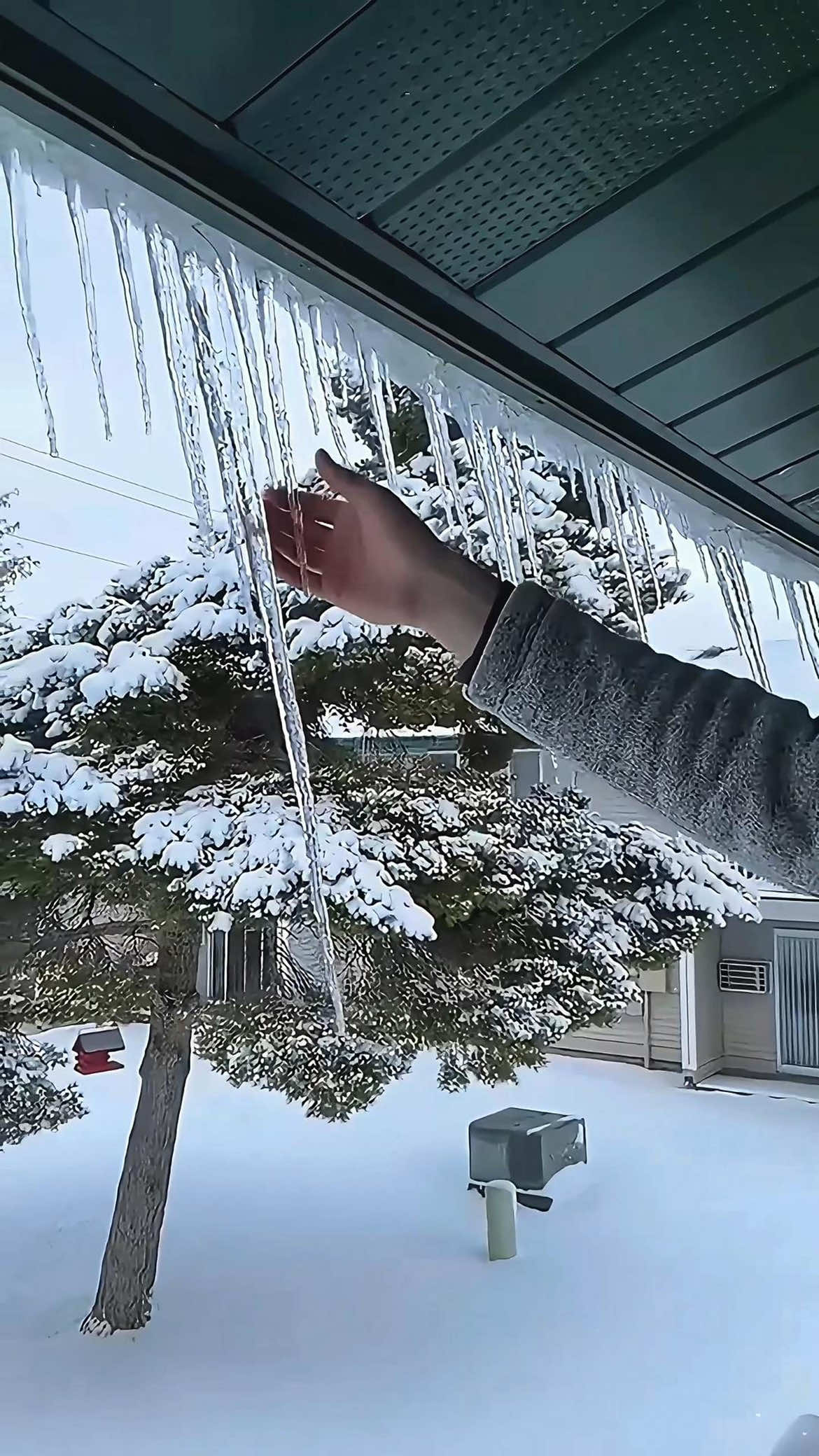 The happiness after an ice storm #satisfying #asmr #ice #snow #fypシ #fyp #oddlysatisfying 