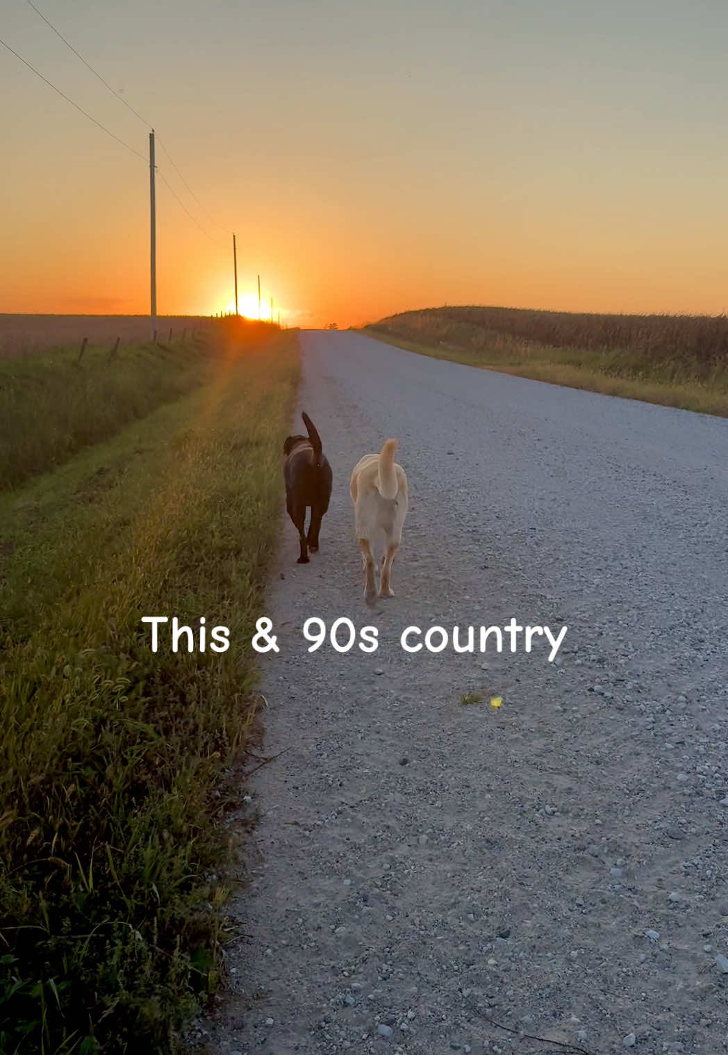 Doesn’t get much better #sunsets #labradorretriever #gravelroads #90scountry #claywalker #countryliving 
