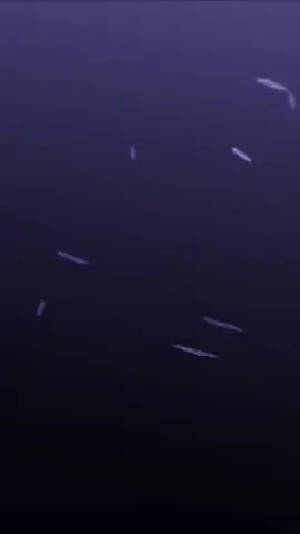 colab 0.2, bareng member. Ayokk yang mw join, silahkan.;) #GenshinImpact #hoyoverse #genshincreator #mabar #fyp 