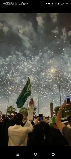 #اليوم_الوطني_السعودي_95  💚💚💚🇸🇦🇸🇦🇸🇦