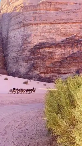 Yordania: Misteri dan Keajaiban di Tengah Gurun