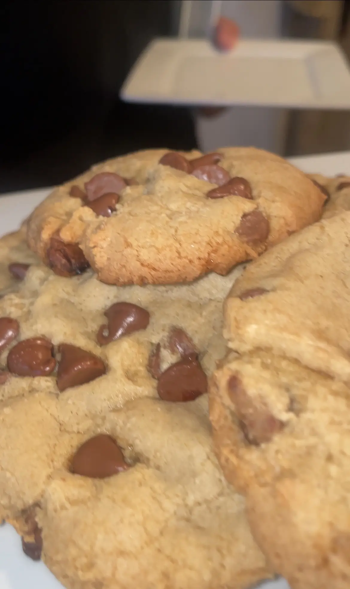 #fall #autumn #libra #pinterest 