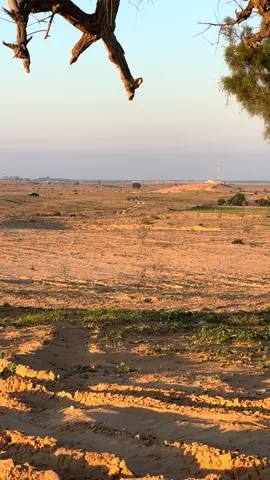 علي حدود غزه وا سيناء🚸