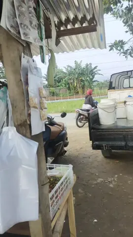 #ikanbandarlanpung #ikansegarbandarlampung #ikanmurahbandarlampung #ikanmurah 