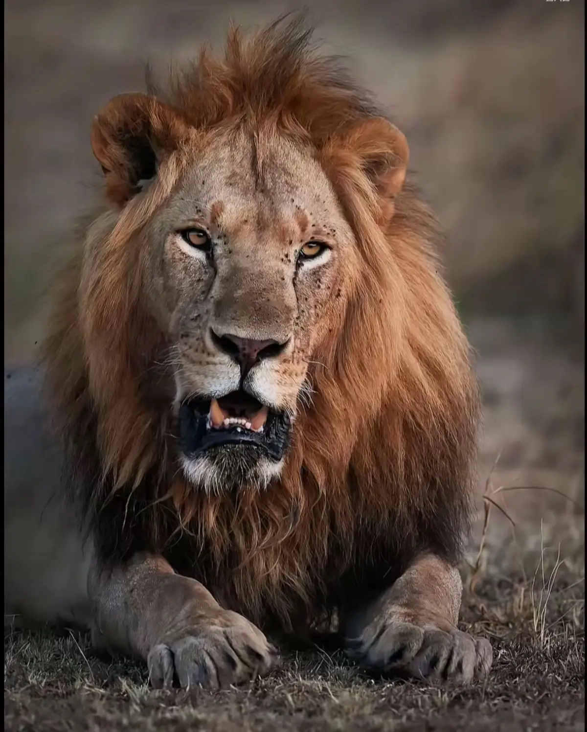 #اخصام_سهله #ftypシ 