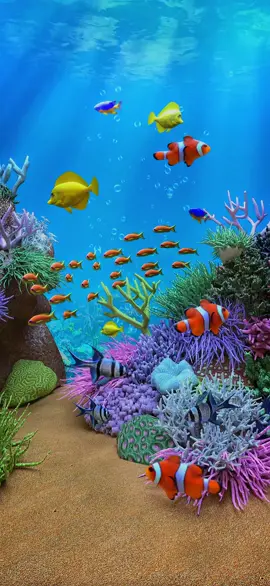 fondo marino, fondos de pantalla full HD 4k  #fondosdepantallaenmovimiento #wallpaper #wallpapers #parati #viralvideo #viraltiktok #hd #livewallpaper #4k #iphonewallpaper #androidwallpaper  #water  #animal  #mar 