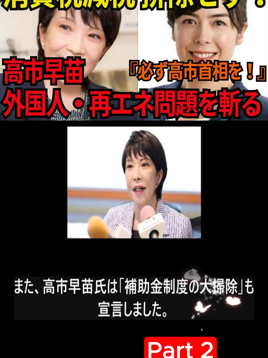 【2025総裁選】高市早苗『消費税減税は排除せず』 外国人政策・再エネ補助金に切り込む｜小野田紀美も共闘-Part 2