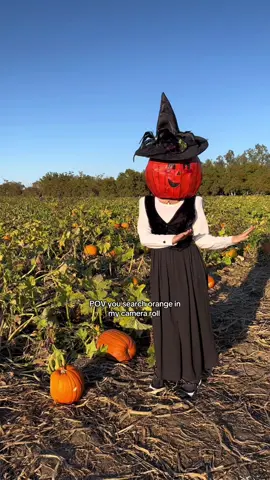 Autumn is finally here!!! 🍂🧡 I can’t wait for my camera roll to look like this again #autumnaesthetic #cozyautumn #romanticizelife #autumnequinox #fallvibes 