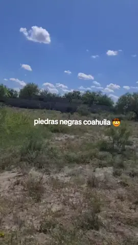 #viral #fypシ #malverde #viral #todos 