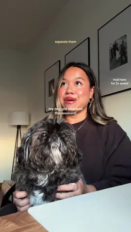 PSA to all dog owners ⚠️ sharing my story for awareness — it’s better to always be super cautious than sorry. #dogattack #dogattackawareness #dogstorytime #dogowners #dogownerslife 