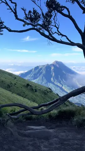 Wishlist yang harus tercapai🍃✨ 🎥@Elangsss  #merbabuviasuwanting #pendakigunungindonesia #fypシ゚ #wishlist #merbabu 