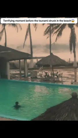 The terrifying moment when the tsunami struck in the beach  #disasters #tsunami #tornado #landslide #earthquake #flood #us 
