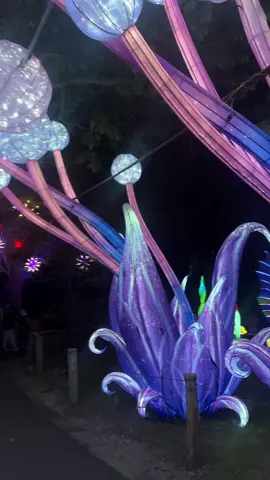 #bellaslucesenBoston😍😍