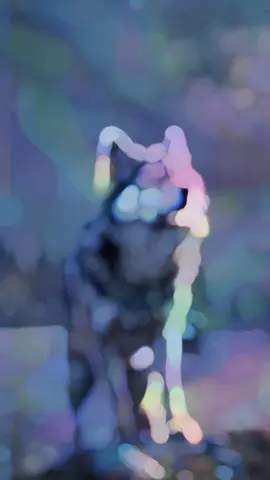 ##CapCut #🤔🤔🤔❤️❤️🇺🇲🇪🇨 