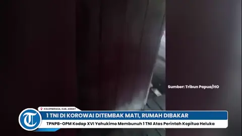 TPNPB-OPM Kodap XVI Yahukimo Tembak Mati 1 TNI di Korowai, 1 Rumah Dibakar#fypppppppppppppppppppppppp #berita #fy 