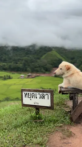 #สตอรี่ความรู้สึก #ธรรมชาติ #บ่อเกลือน่าน #หยุดเวลาคาเฟ่สะปัน 