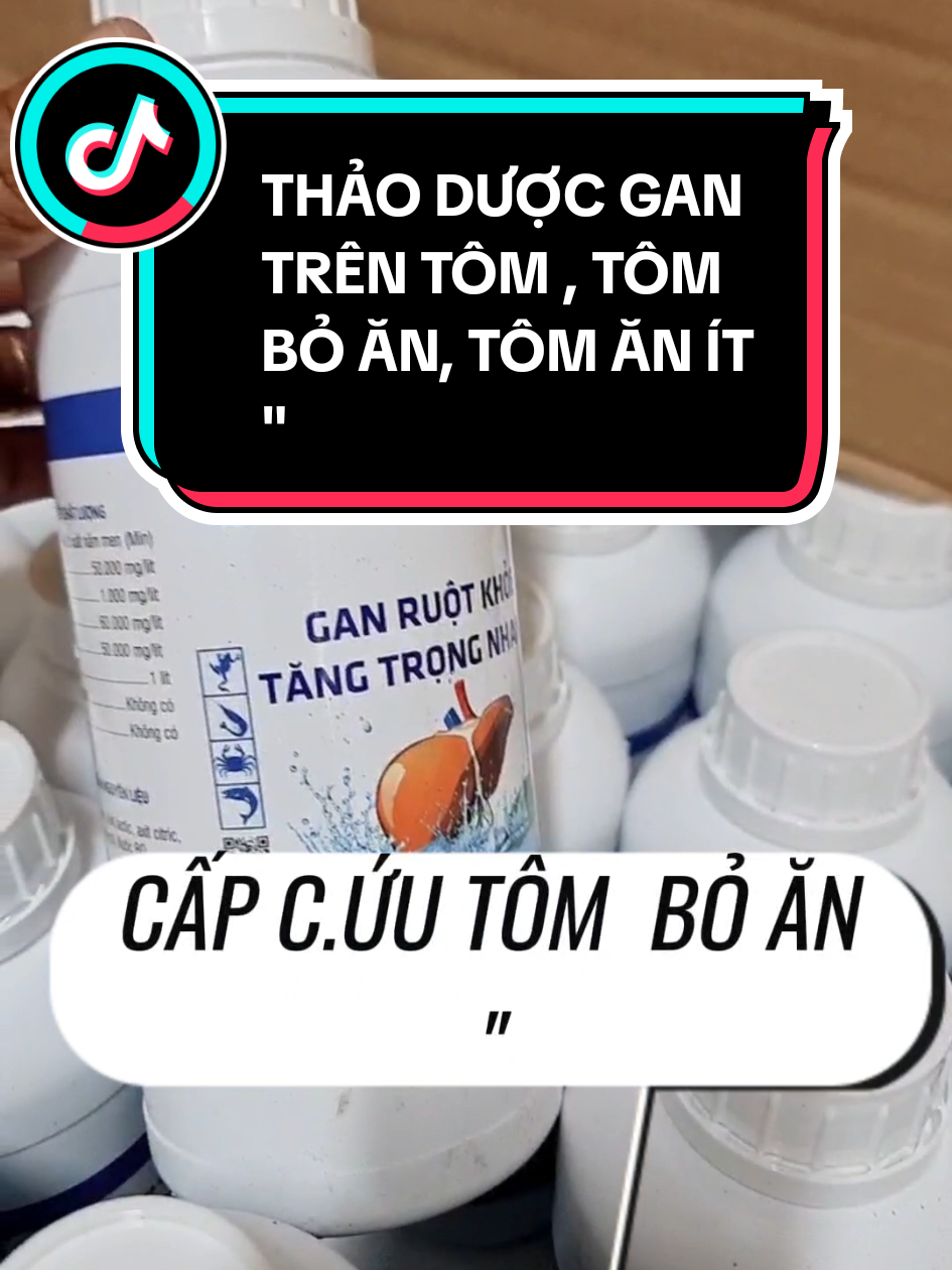 Excent , tôm bỏ ăn , tôm ăn ít , trộn thảo dược gan , cho tôm ăn , trộn 5ml/ kg thức ăn. #thuysan365 #nuôitôm #nuoiech #excentchotom 