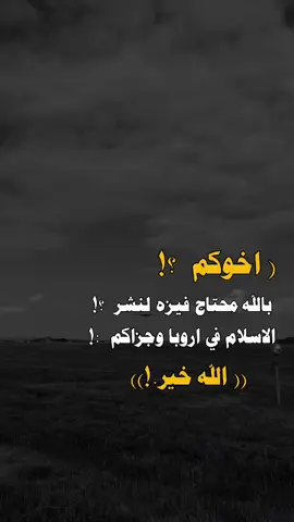 #فيديوهات # عبارات # تصاميم # مسقي # اليمن # اب # تعز # صنعاء # ذمار # المحويت # الحديده # عدن # يافع #