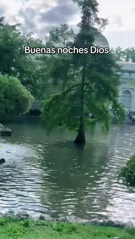 #paratiiiiiiiiiiiiiiiiiiiiiiiiiiiiiii #canciones #musica #letrasdecanciones #dioscuidademi🙏 