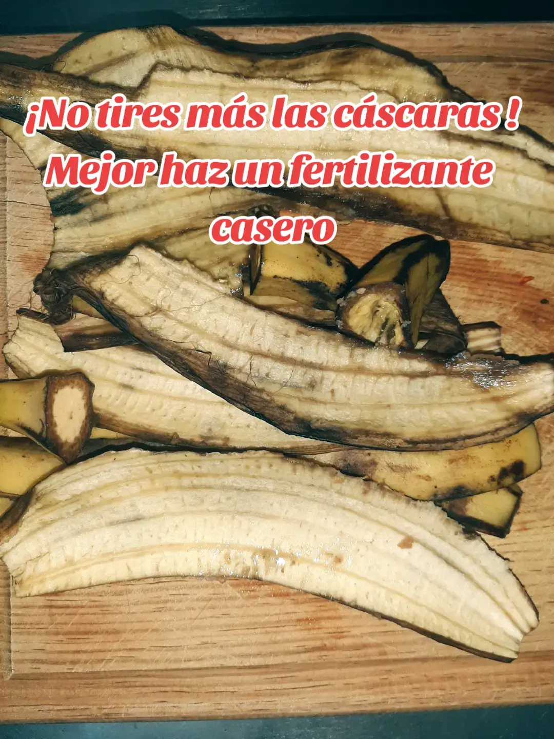 No tires más las cáscaras de plátano y de huevo, mejor aprovechalas haciendo un té de abono para todas tus plantas. 1. Trocea los residuos de las cáscaras en trozos más pequeños. (2 cáscaras de plátano y 4 cáscaras de huevo previamente enjuagados) 2. Hierve la mezcla en 1 litro de agua o un poco más a que cubra bien los residuos, por 10 minutos a fuego lento.  3. Deja reposar la mezcla, que se enfríe y después cuela. 4. Agrega agua en proporción 3:1 (3 partes de agua y de 1 del té) 5. Ahora aplica a todas tus plantas, te lo agradecerán.  Las cáscaras de huevo son ricas en calcio, mientras que las cáscaras de plátano aportan potasio, lo que favorece el crecimiento y la floración de las plantas. El abono líquido se puede aplicar  cada 15 o 20 días.  #fertilizanteorganico #tedeabono #huertosurbanosxinaloani #cascaradeplatano #cascaradehuevo
