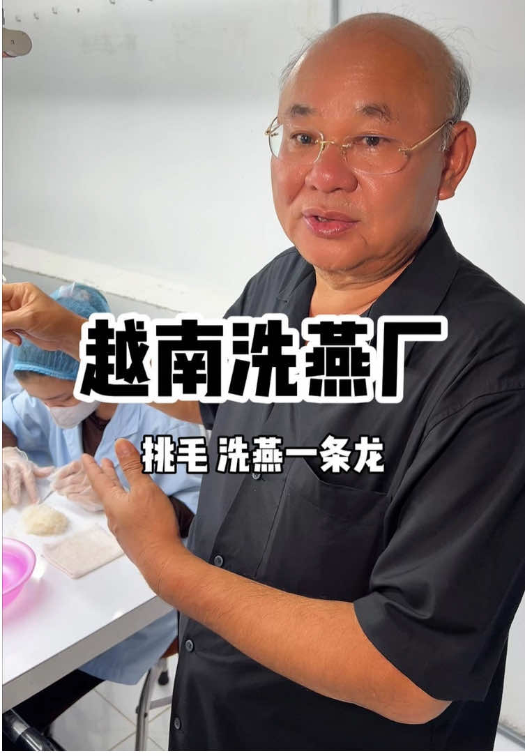 爸爸在越南的洗燕厂，人工半干挑，#越南 #燕盏 #xiaoxiandunbirdnest #小鲜炖燕窝 #源头工厂 