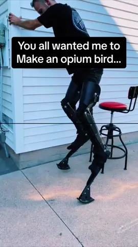 Mythical bird brought to life #spiritwalker #birdcostume #halloween