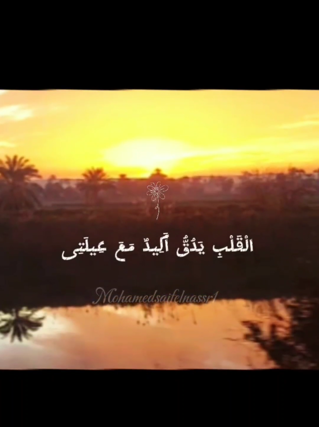كامل العدد✨️🧡 #foryou #foryoupage #fypシ゚ #محمد_سيف_النصر #اللمة_تخلي_العيلة_تملي_تقرب 