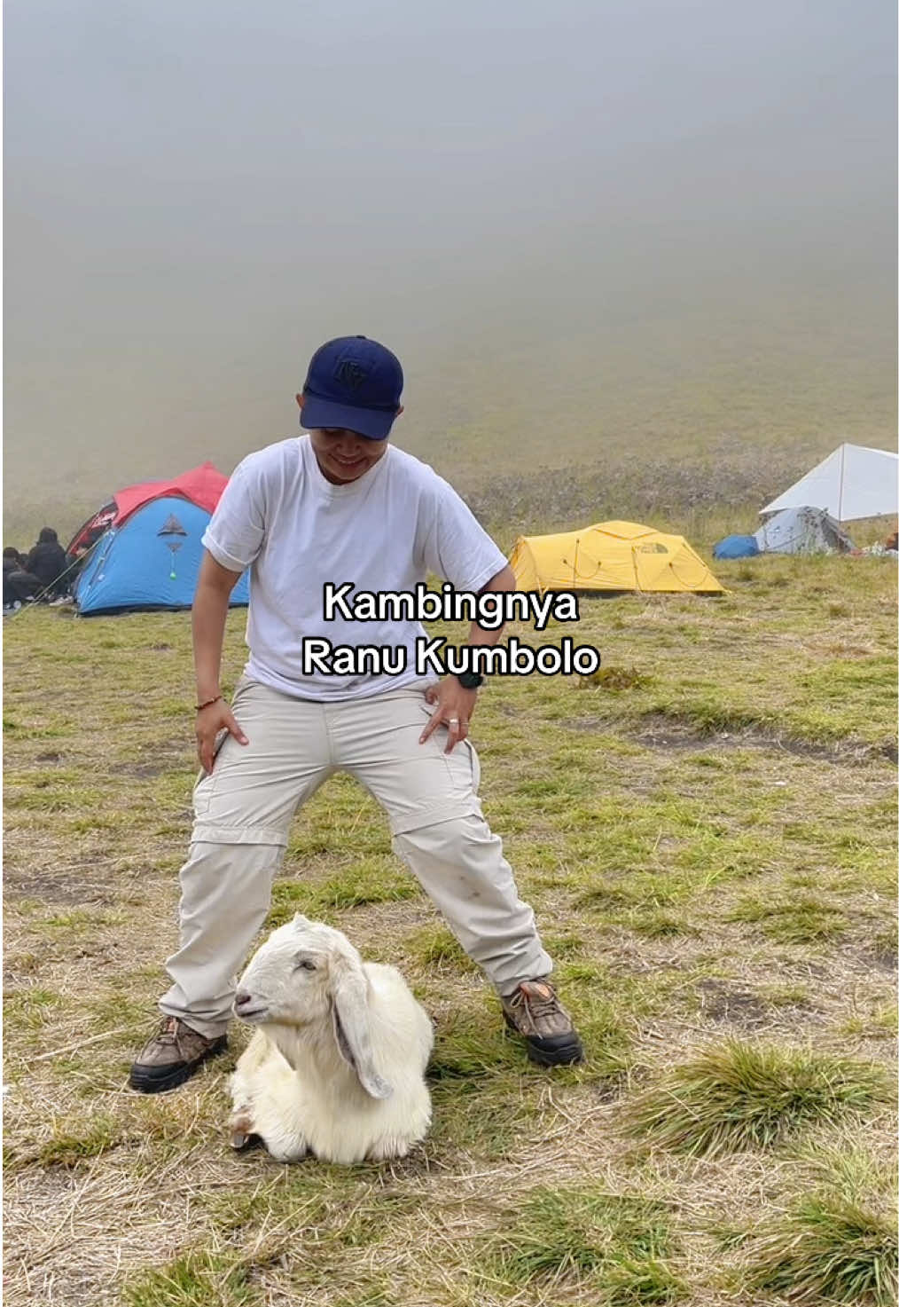 This Is ? #fyp #fypage #ranukumbolo #semeru3676mdpl #pohontumbang 