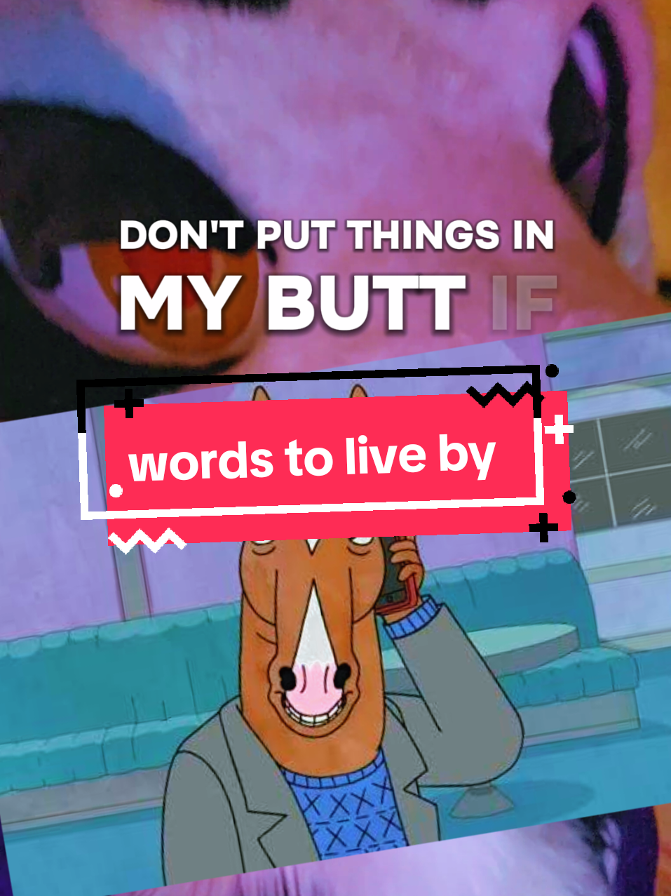These are words to live by #furries #fursuit #furryfandom #furry #bojack 