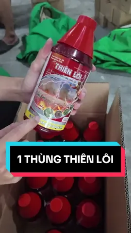 Đập hộp trực tiếp 1 thùng THIÊN LÔI từ công ty KINH BẮC