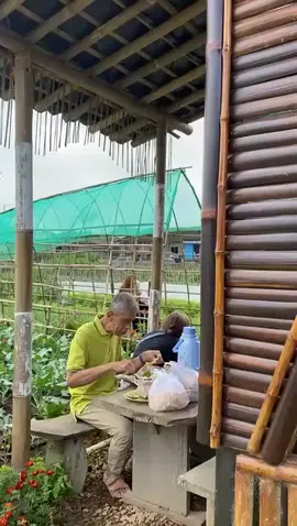menikmati suasana kebun sayursehatpakmin  bersama keluarga  #petaniindonesia🇮🇩🇮🇩🇮🇩🌿🌿  #eksplorsalatiga  #kebunsayur 
